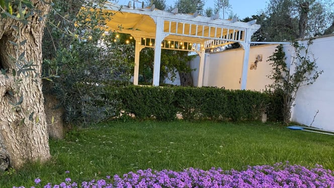 La Corte degli Ulivi - Vignacastrisi - 7