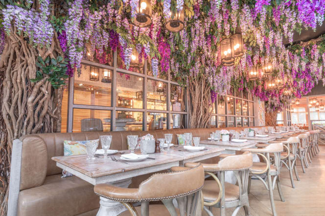 Victors Alderley Edge - 6