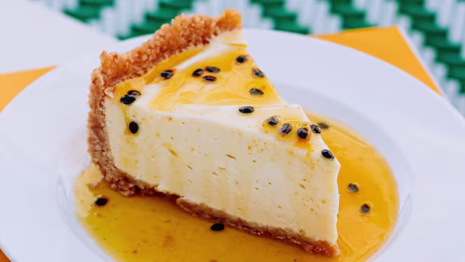 Sol e Jardim - Lisboa - 3