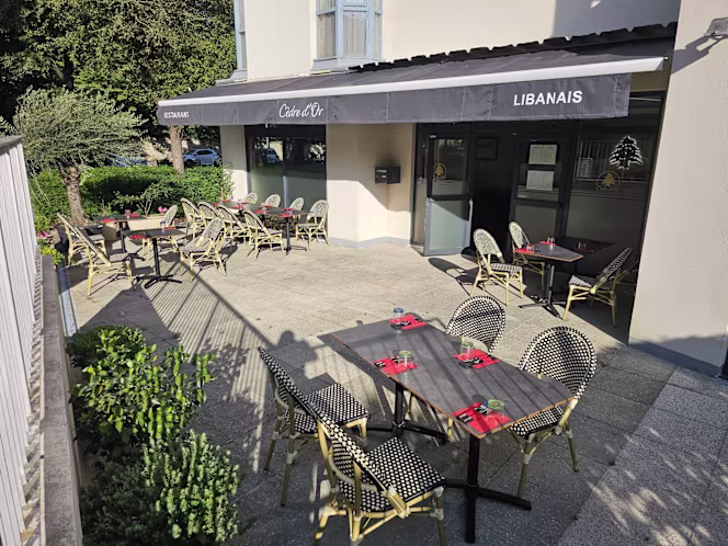 Cedre d'Or Chatenay - 3