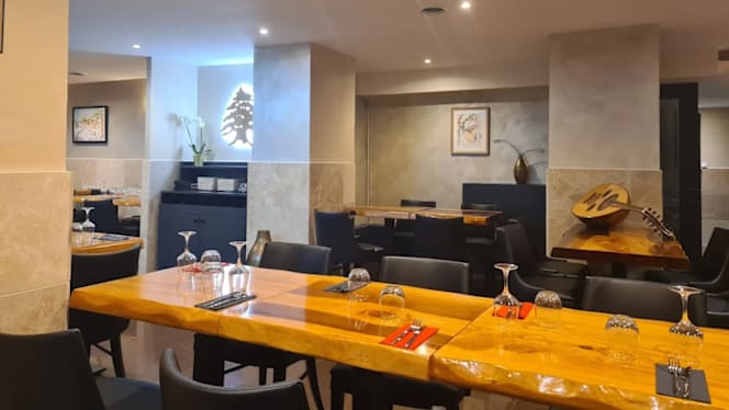 Cedre d'Or Chatenay - 5