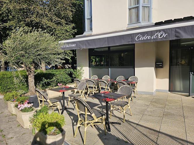 Cedre d'Or Chatenay - 1