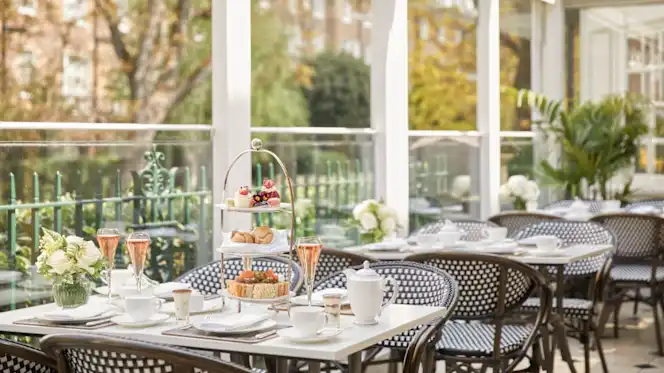 Afternoon Tea at The Montague on The Gardens - 0