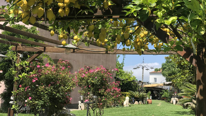 Dal Patriarca - Montechiaro - 9