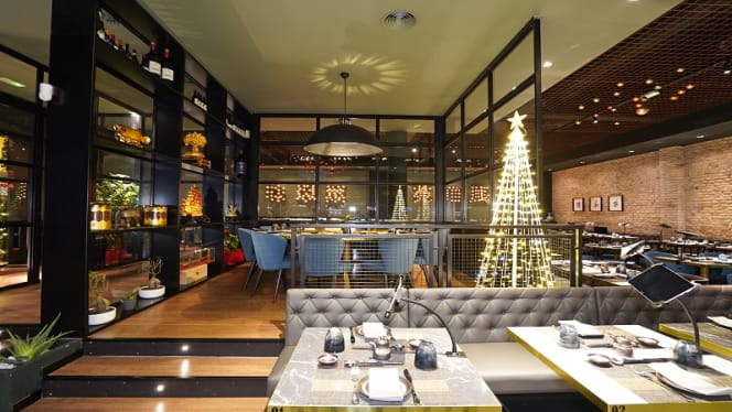 Yo Fusion Marconi - 5