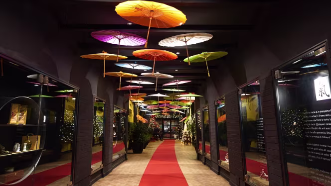 Yo Fusion Marconi - 0