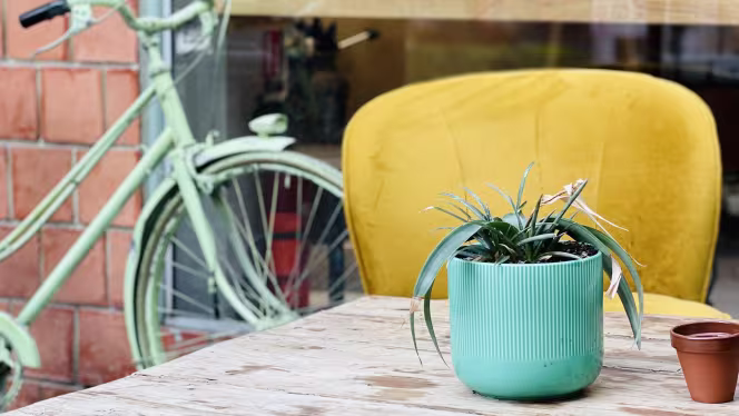 Le Chamboule Tout - 1