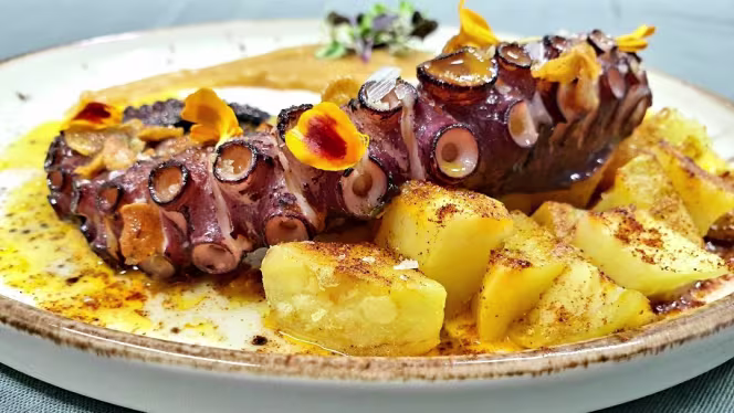 Fins Tapas & Cocktails - 9