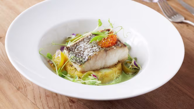 Smash by Vale do Lobo - 3