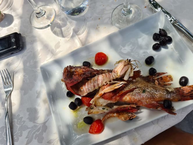 Le Palme di Carmine Biondi - 6