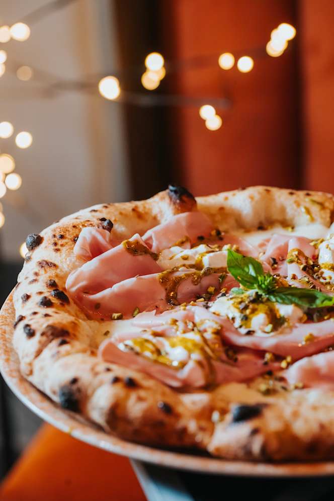 Wasabi's Squillace - 6