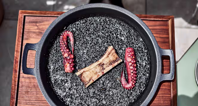 Caballito de Mar - 3