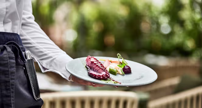 Caballito de Mar - 4