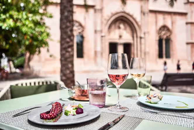 Caballito de Mar - 1