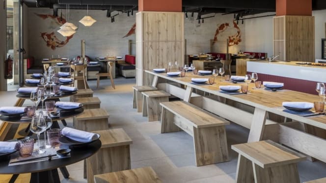 Koi Costa Teguise - 6