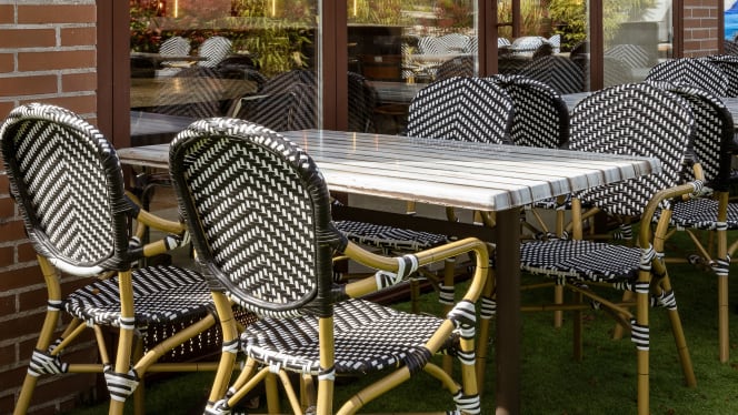 Vuelta al origen - 5