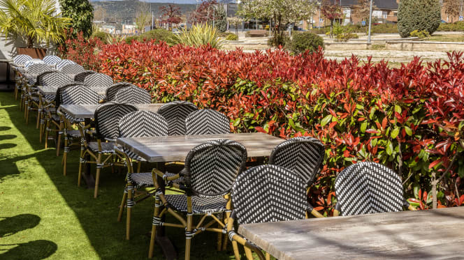 Vuelta al origen - 4