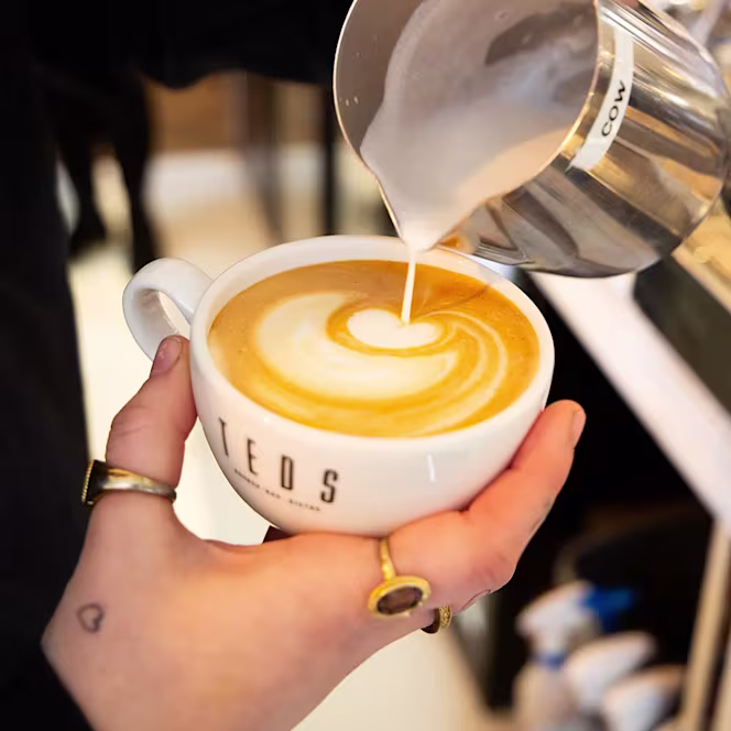 Teds Breda Sutor - 0