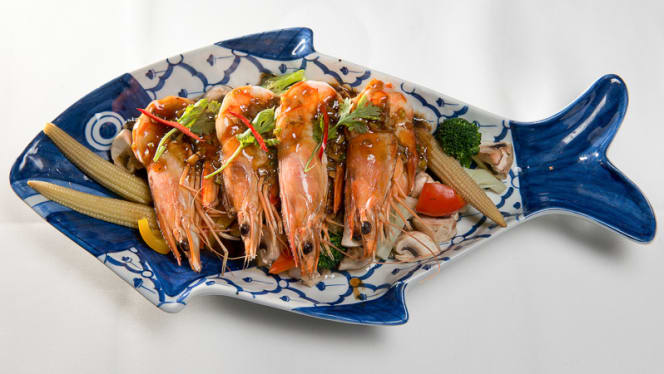 De Kooning van Siam - 2