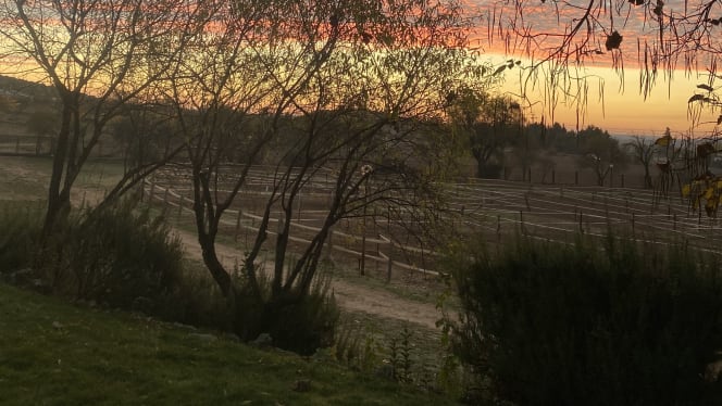 Finca Equilibrium - 2