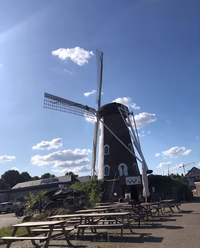 The Windmill Virundhu - 6