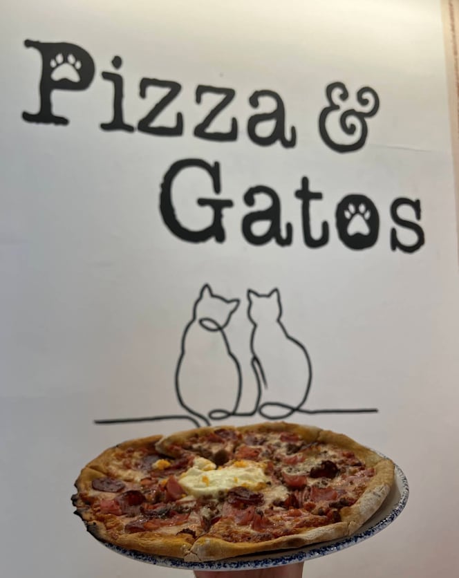 Pizza y Gatos - 1