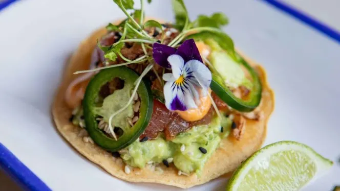 Santo Remedio Marylebone - 0