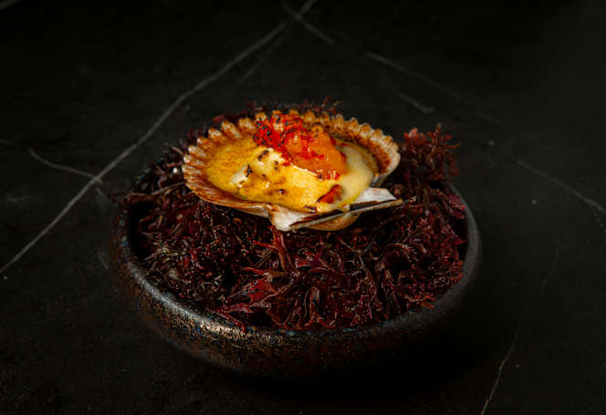 Sijapo - Aravaca - 8