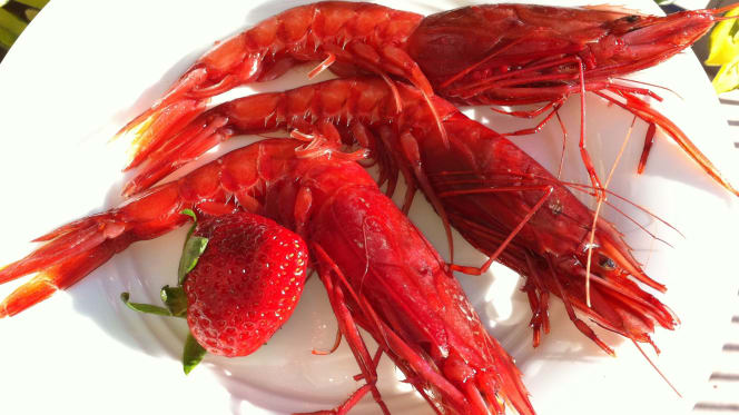 Andreas Restaurant - 8