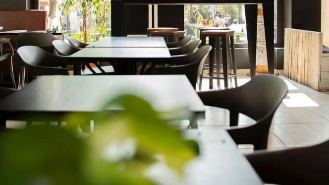 Papilla Monza - Monza - 4