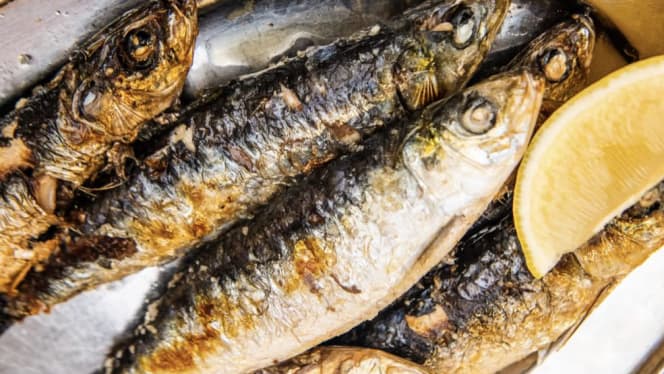 Sporting Club De Londres - 8