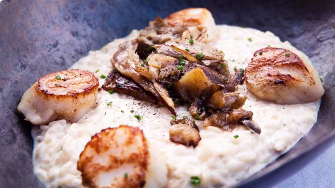 Le Vieux Honfleur - Honfleur - 1