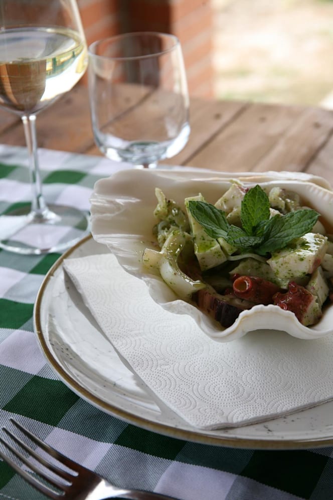 Morus alba gargano - 2