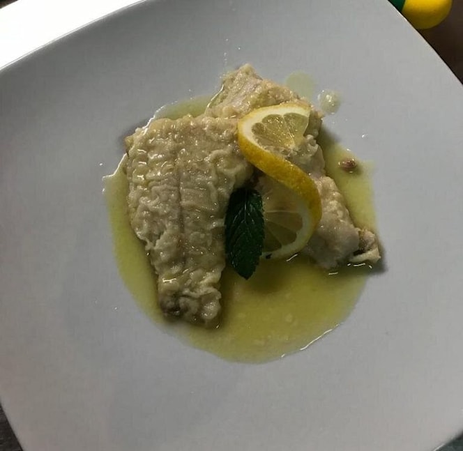 Morus alba gargano - 8