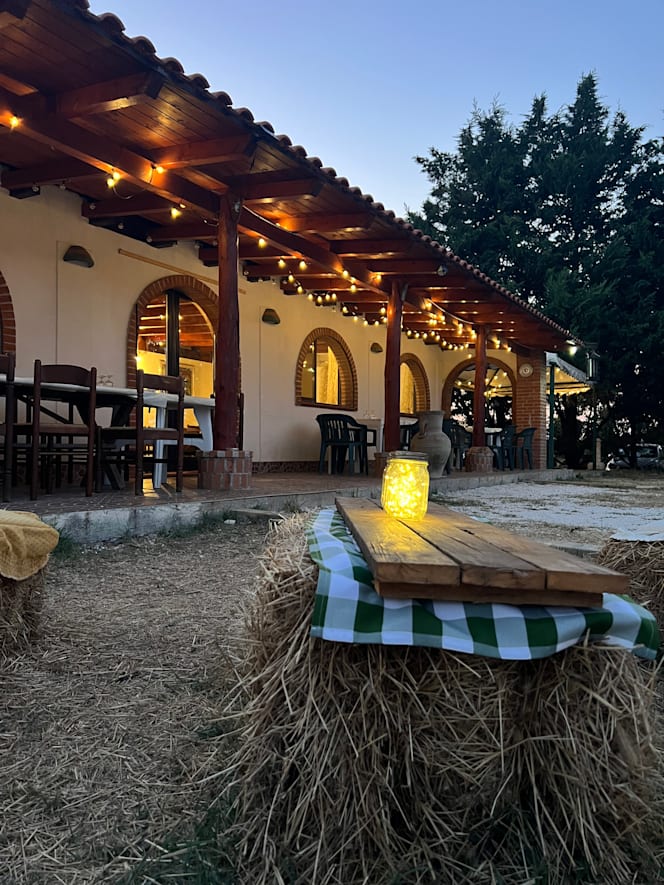 Morus alba gargano - 3