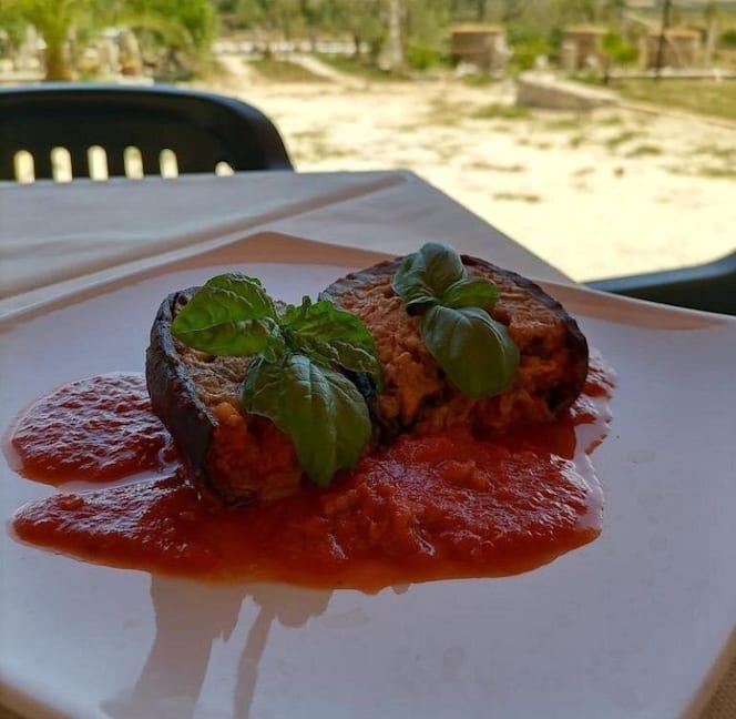 Morus alba gargano - 7