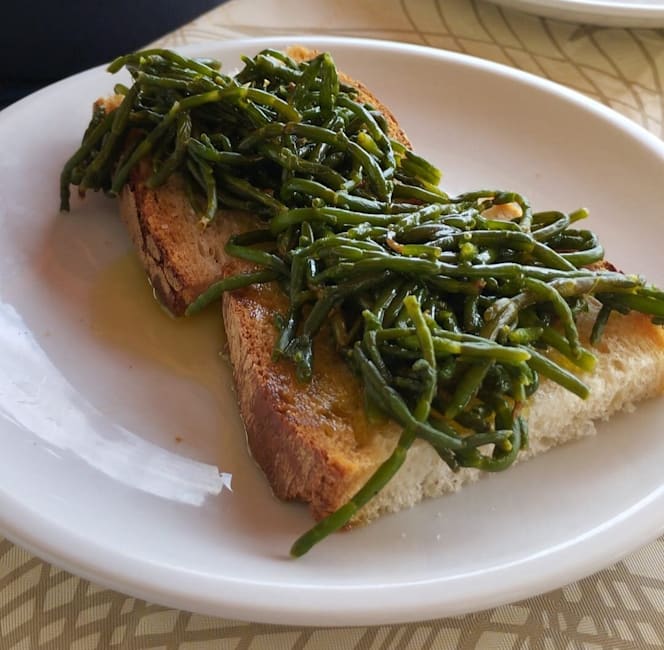 Morus alba gargano - 6