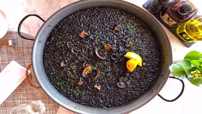 Bardot - Meliá Don pepe - 1