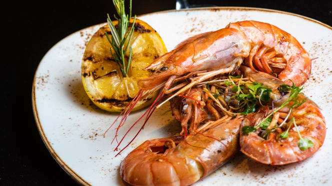 ANGUS Puerto Marina - 8