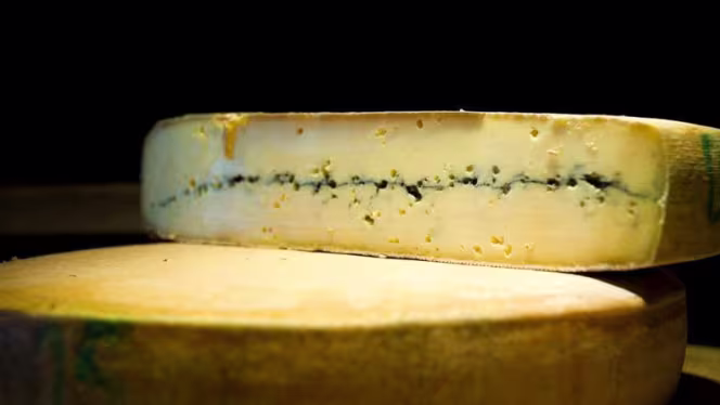 Le Bouchon Comtois - 7