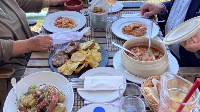 Pelicano - Praia da Rainha - 4