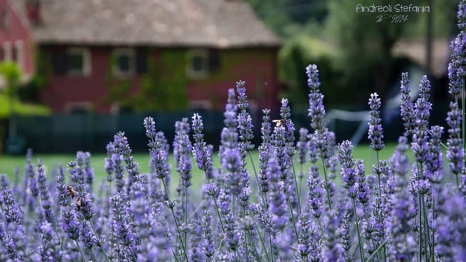 Agriturismo Boccapane - 1