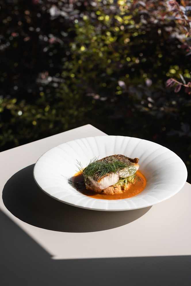 Contemporâneo - Food&Wine - 5