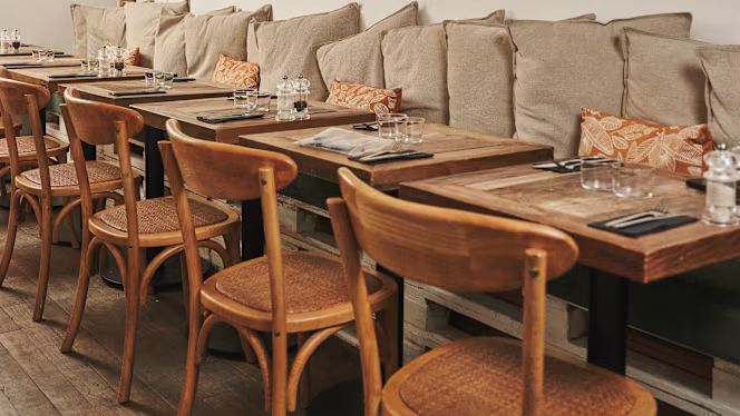 Lovebird Saint-Cloud - 6