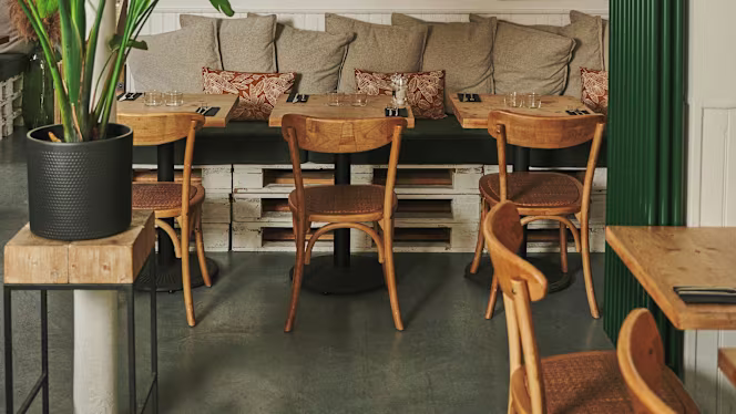 Lovebird Saint-Cloud - 9