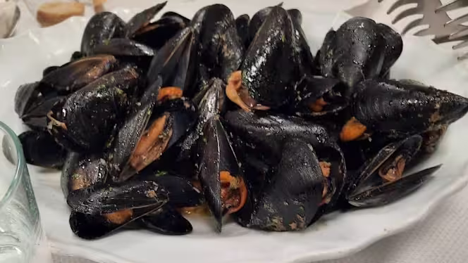 Genovese 2 - Lodi - 2