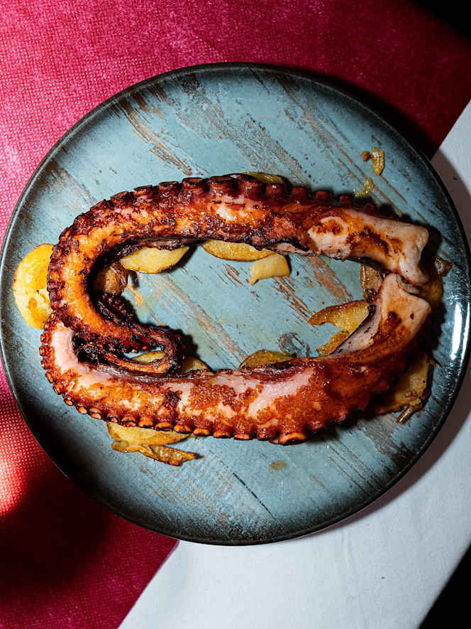 Monarq Barceloneta - 5