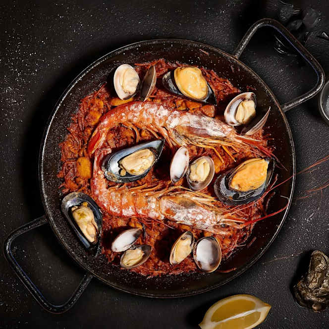 Monarq Barceloneta - 1