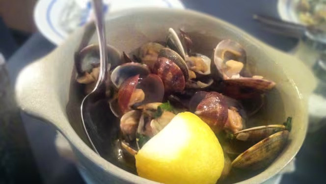 A Primavera do Jerónimo - Lisboa - 8