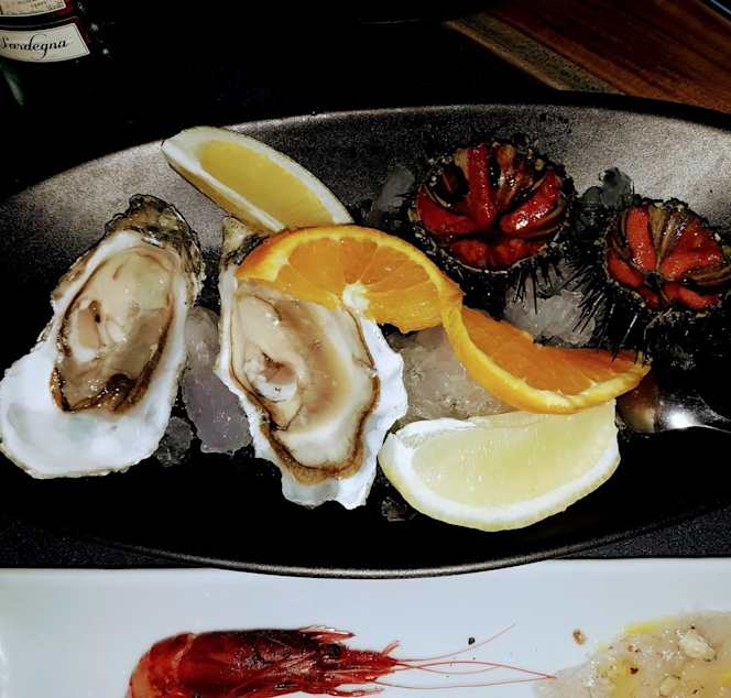 Maestrale Alice's Food - 2